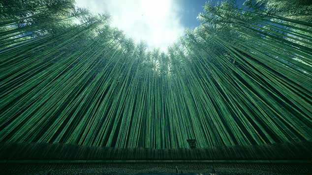 竹林を見上げるBamboo Road Mapのシーン