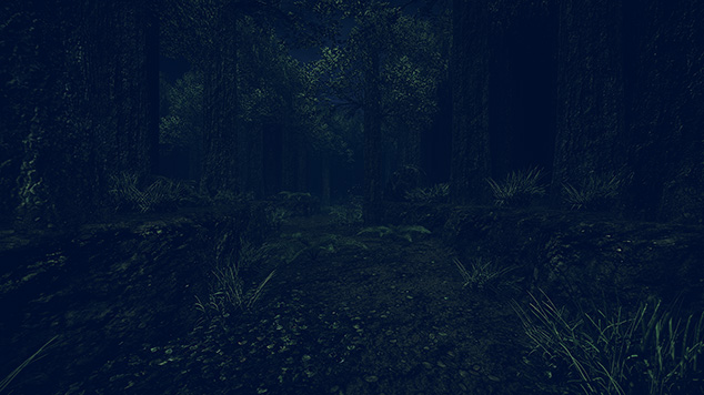 暗い森の中を小道が続くForest Mapのシーン